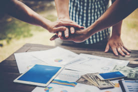 Rebate & Incentive Support